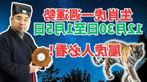 屬虎 運勢